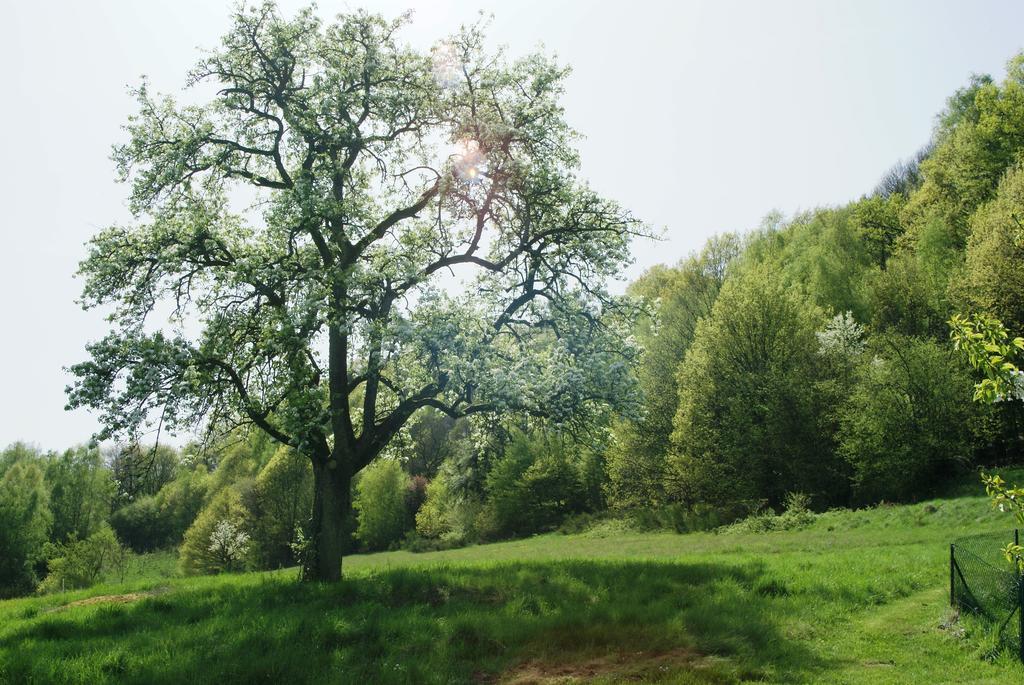 Gite Du Windstein エクステリア 写真